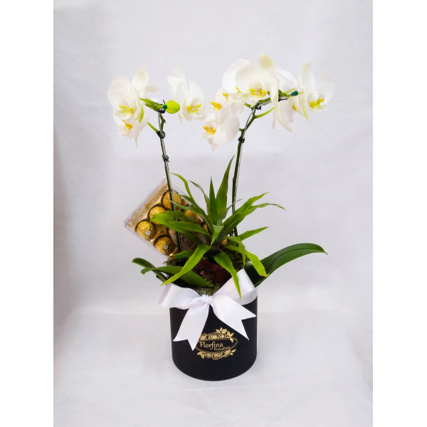  Luxuosa caixa box com orquídea branca e Ferrero Rocher