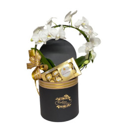 Caixa Box luxuosa com orquídeas branca