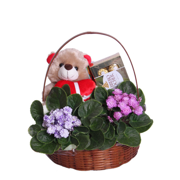 cesta de violetas com pelúcia e chocolates
